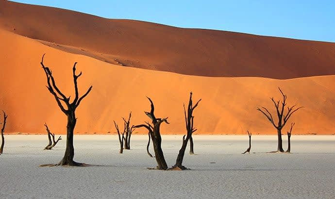 Namib Desert Tour