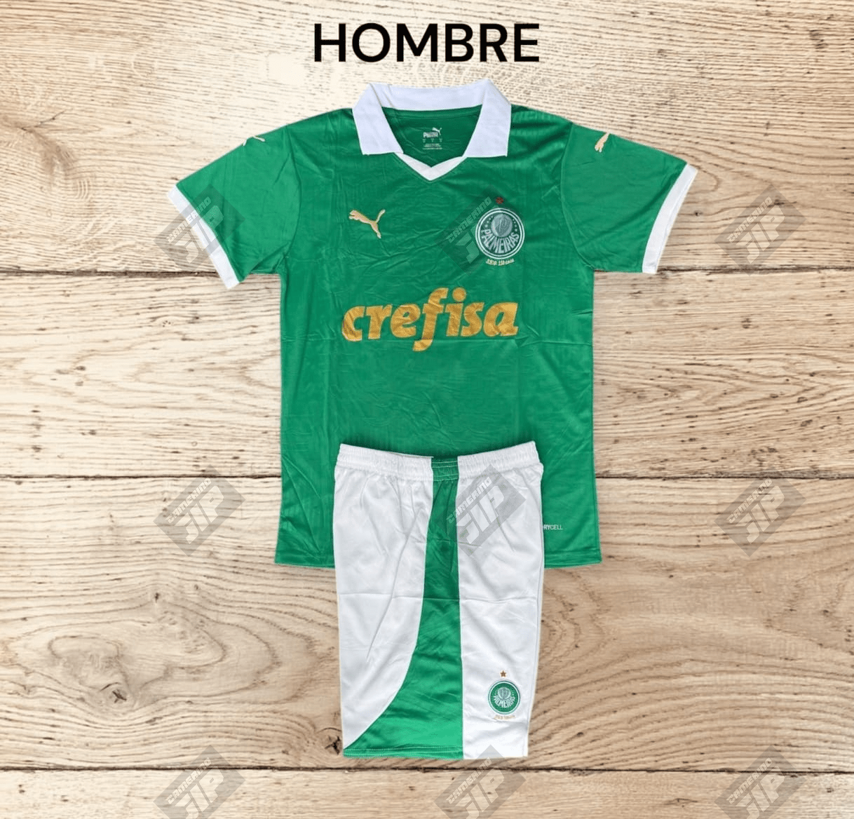 Palmeiras