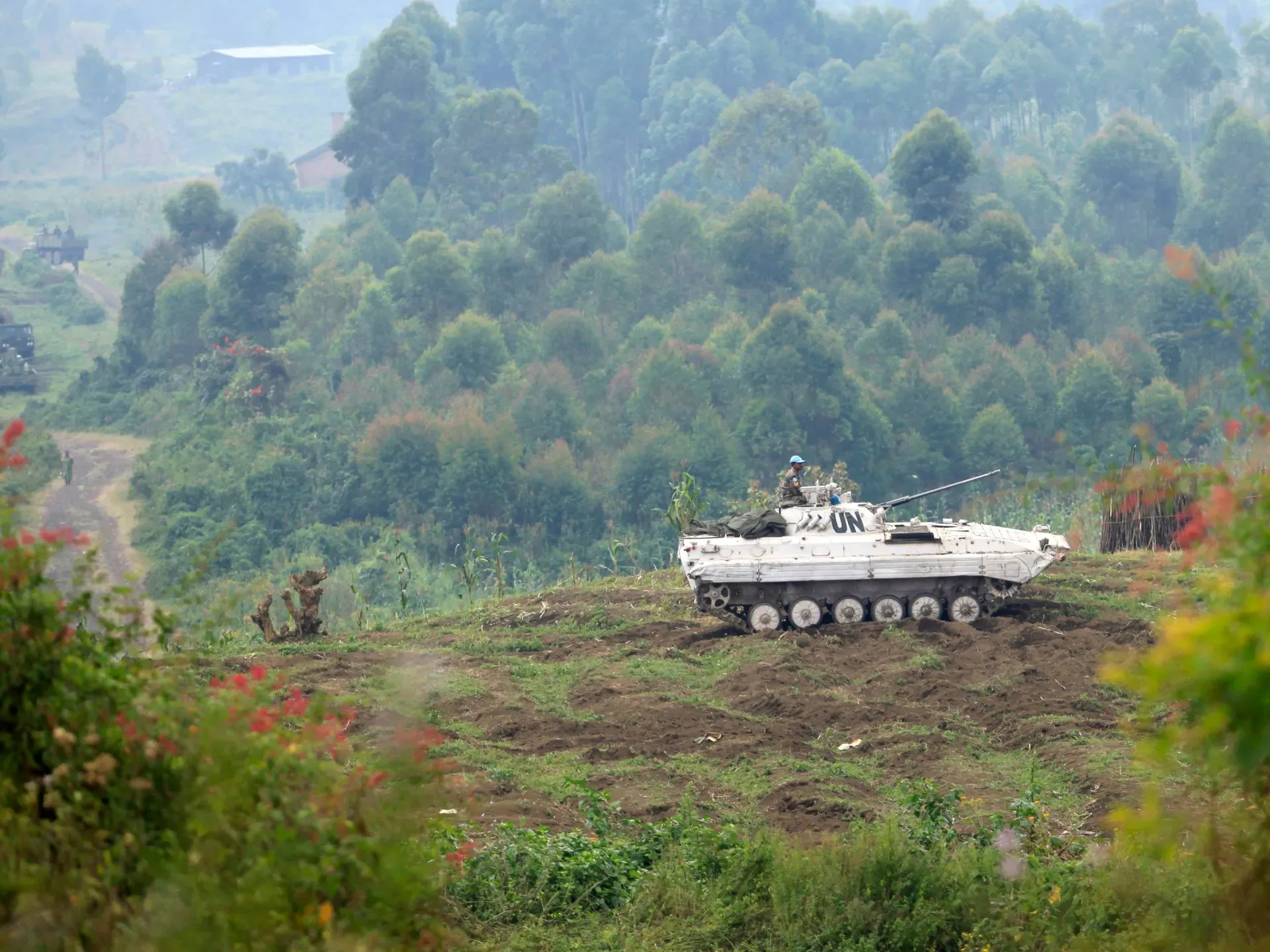 UN experts cast blame on Rwanda and Uganda. What are they doing in DRC?