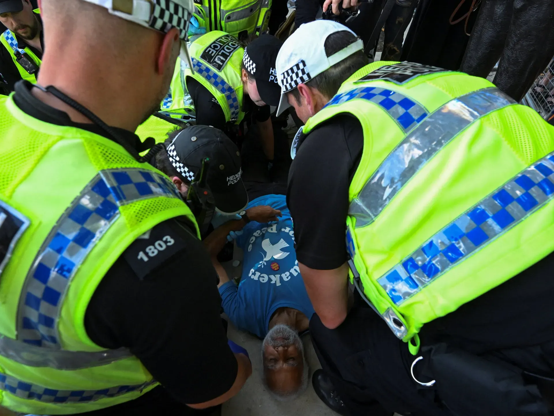 UK police arrest at least 200 people at Palestine Action protest in London