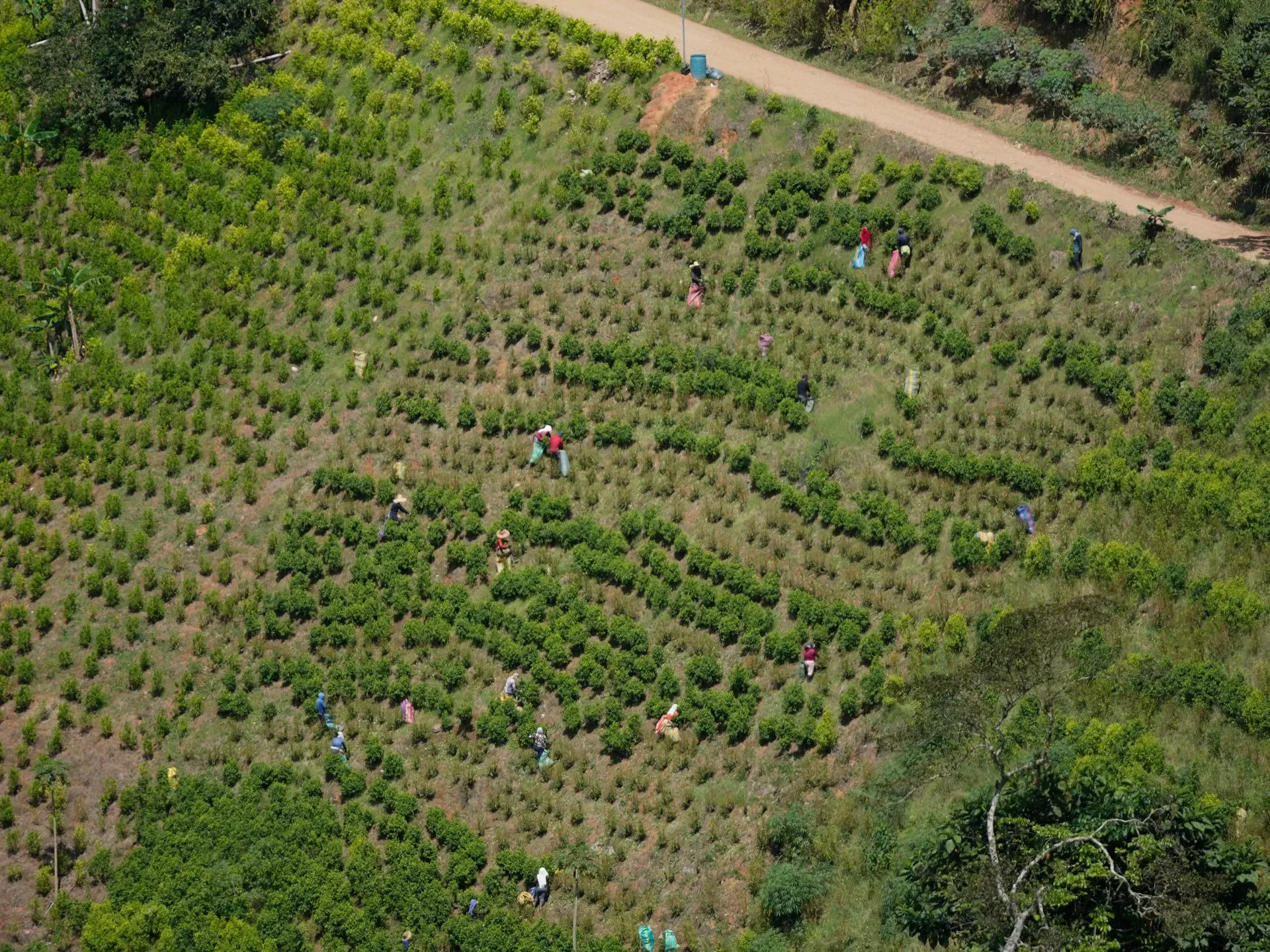 Colombian military rescues 27 abducted soldiers, dozens remain captive